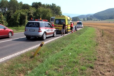 Motorkár skončil v priekope po tom, ako mu do cesty vbehlo zviera. Pomohli mu až pracovníci odťahovky