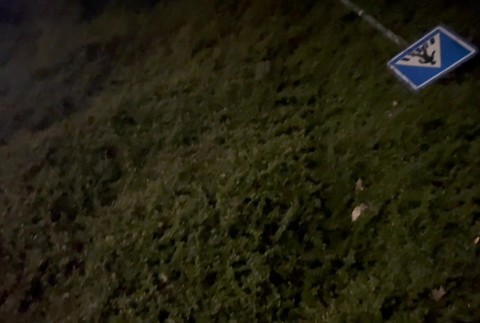 [multi] 050224PPD 540