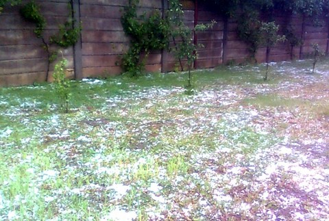 Záhrada Cífer ľadová smršť 1