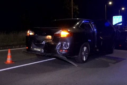 vodiči nestihli dobrzdiť. Pes prebehol cez cestu 