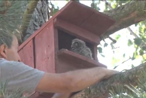 Základná škola v Červenom Hrádku sa pýši piatimi sovičkami 