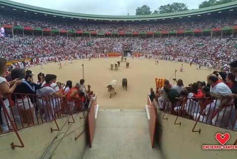 Video: Tradičný beh pred býkmi sa skončil piatimi zranenými