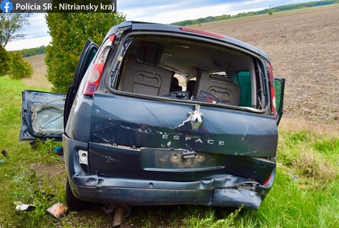 308505869_1221296375082031_7902434913831962634_n