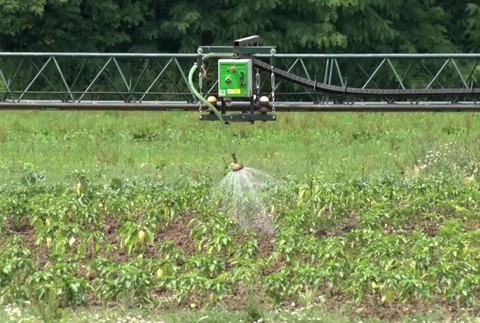 [multi] Škola s agrofarmou 411