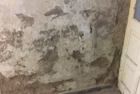 Medici zbierajú dôkazy pre premiéra. Plesne v nemocniciach