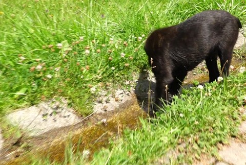 [multi] 071024ZFZ 12064