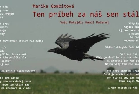 text piesne "Ten príbeh za náš sen stál"