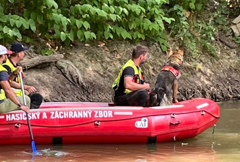 Pátranie po malom chlapcovi 8