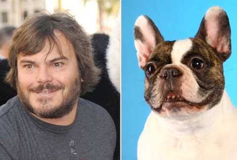 Jack Black