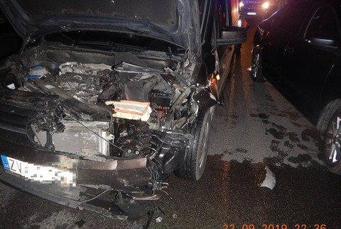 FOTO: Kuriózna zrážka. Na R2 pri Zvolene vbehol vodičovi pod auto medveď 