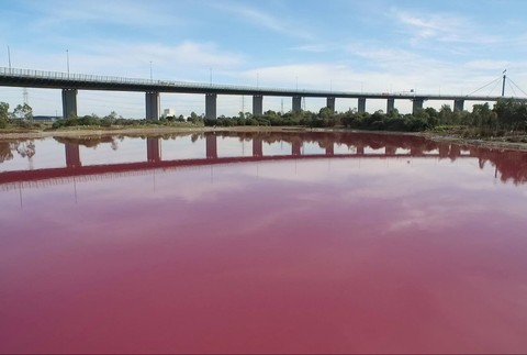 Ružové jazero, Melbourne, Victoria Parks 2