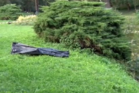 Na hladine medzi leknami našli nehybné telo ženy.