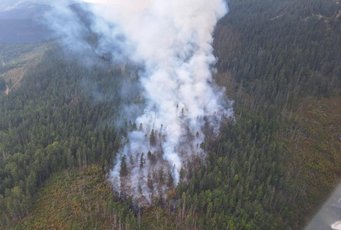 Na Horehroní sa rozhorel les