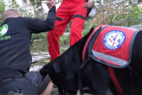 Záchranený psík sám záchranárom 