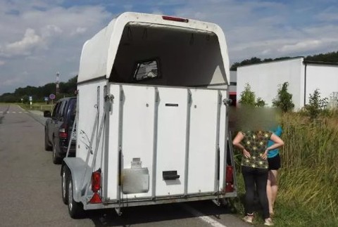 Policajná hliadka zostala v šoku: Vodič v prepravníku na kone viezol deti