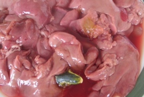 Pokazené kuracie pečienky