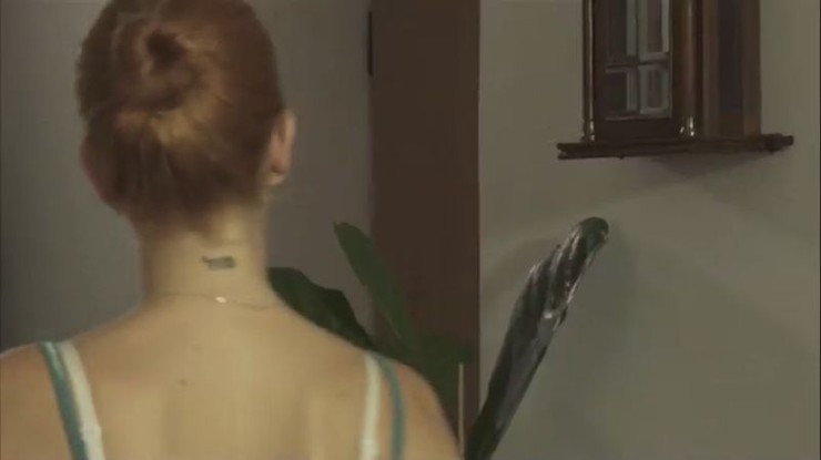 Kočiš Farkašová 5