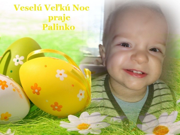 Palko