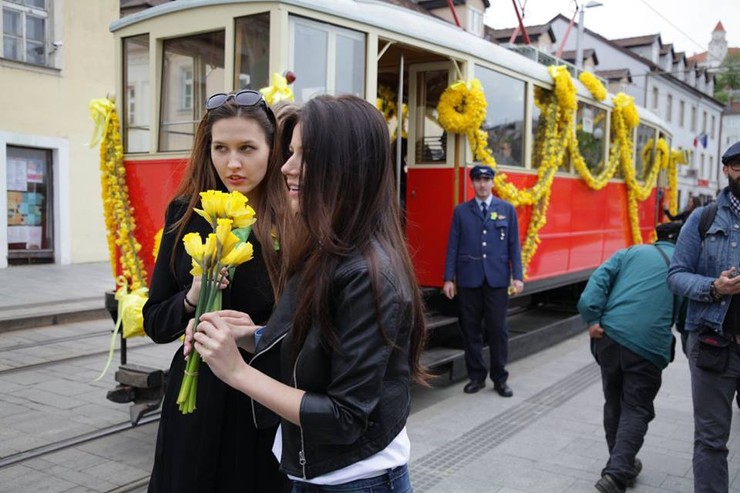 Deň narcisov s finalistkami Miss Slovensko 2016