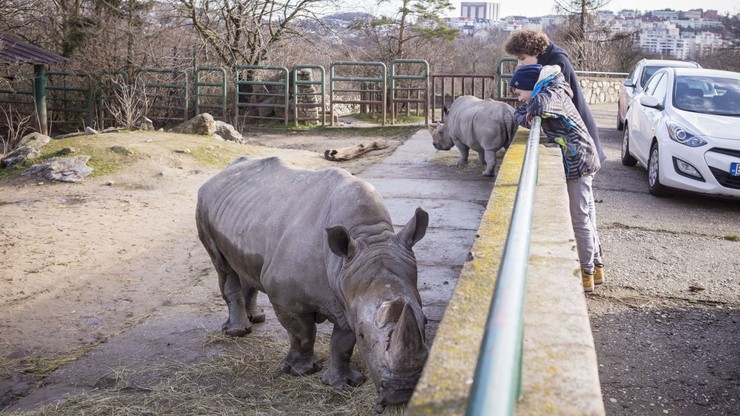 NAŠI chalani v ZOO 8