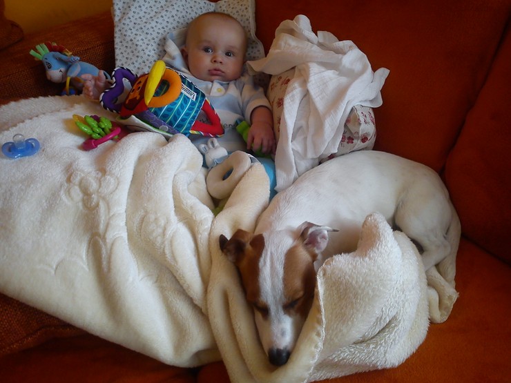 Danielko