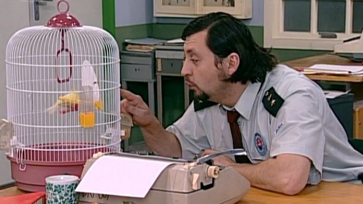 Profesionáli Kanárik a špargľa 1