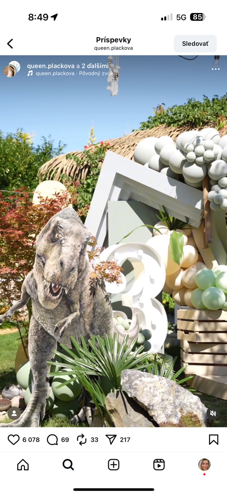 Plačková, syn Dion, narodeninová oslava, luxus, dinosaurus