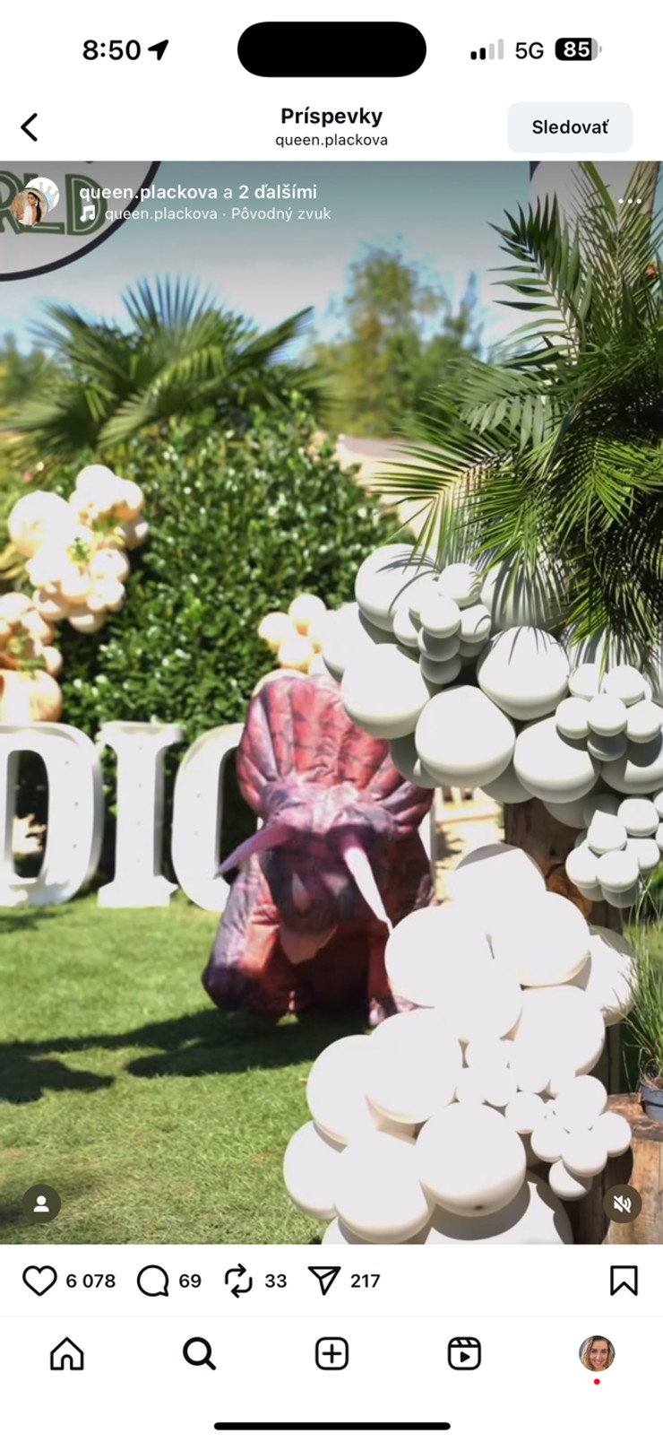 Plačková, syn Dion, narodeninová oslava, luxus, dinosaurus