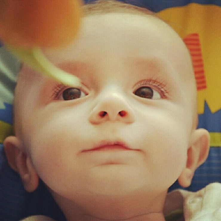 Dominik