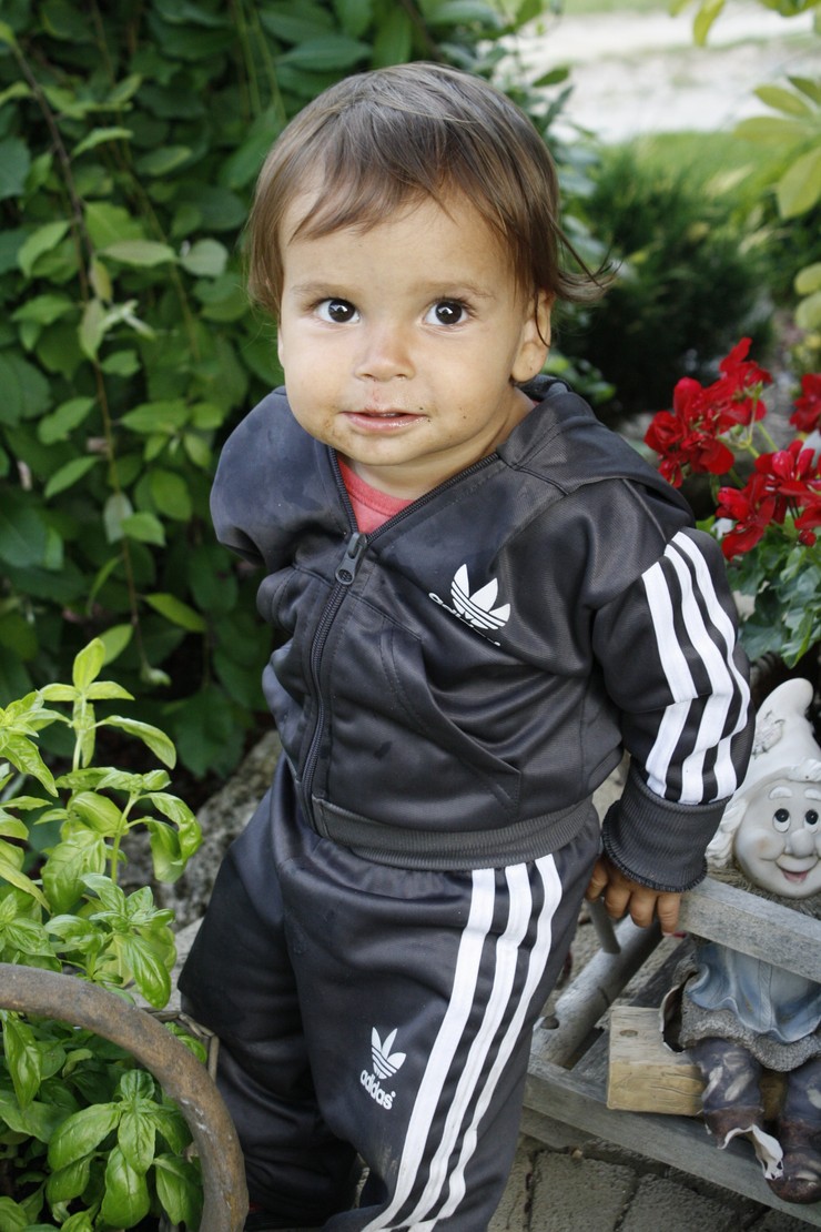 Oliverko
