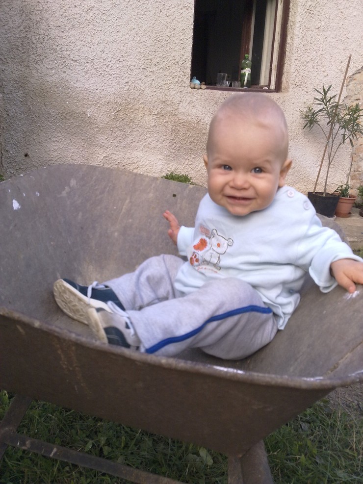 Dominik