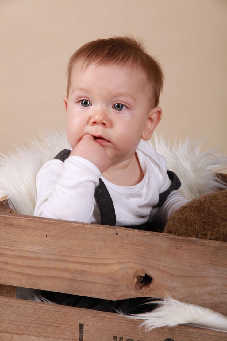 Dominik