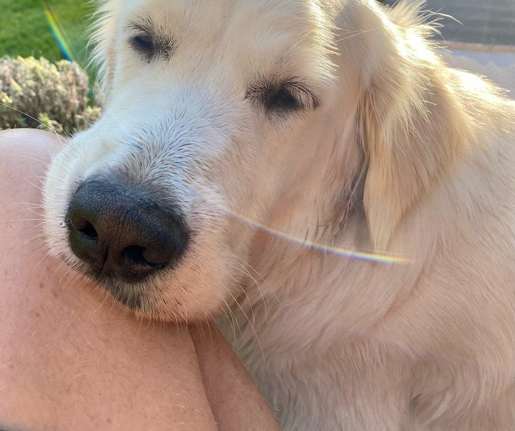 Maybe - sučka Jiřího Langmajera