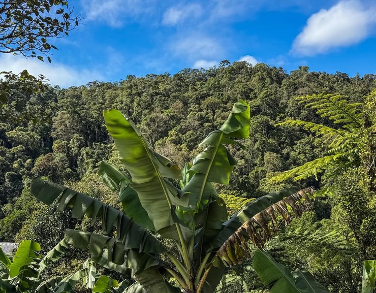 Diana Mórová na Madagaskare (2)