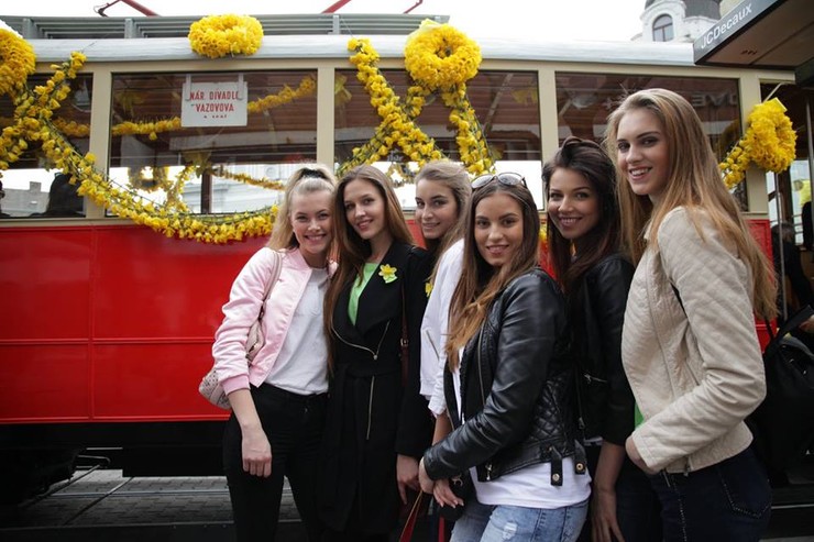 Deň narcisov s finalistkami Miss Slovensko 2016