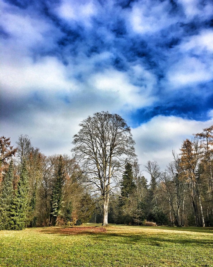 1890 - Ján Kolenik a jeho zbierka fotiek z nakrúcania na Betliari.jpg