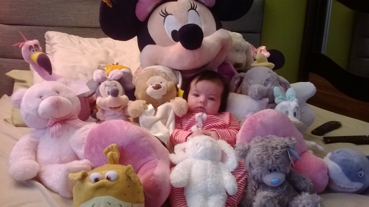Gracie a priatelia