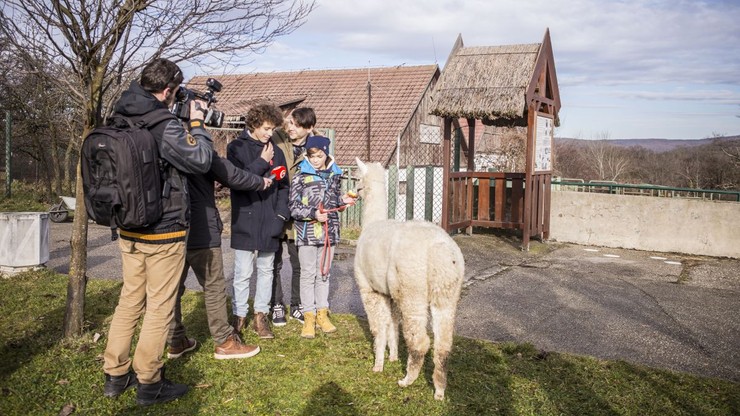 NAŠI chalani v ZOO 9