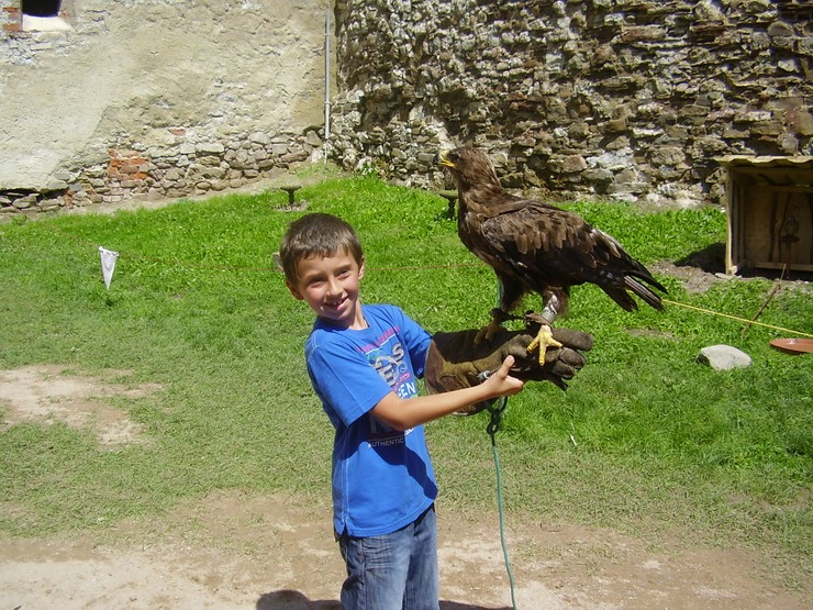 Alex