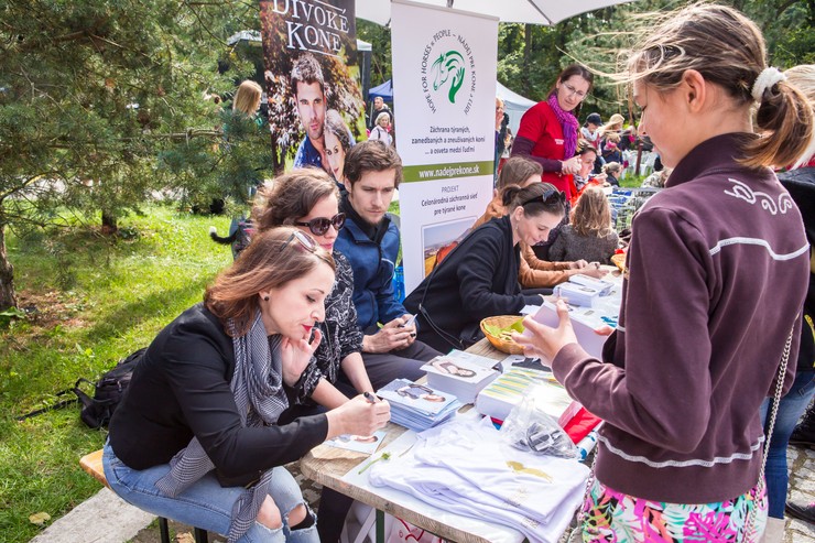 Akcia na pomoc týraným koňom 7