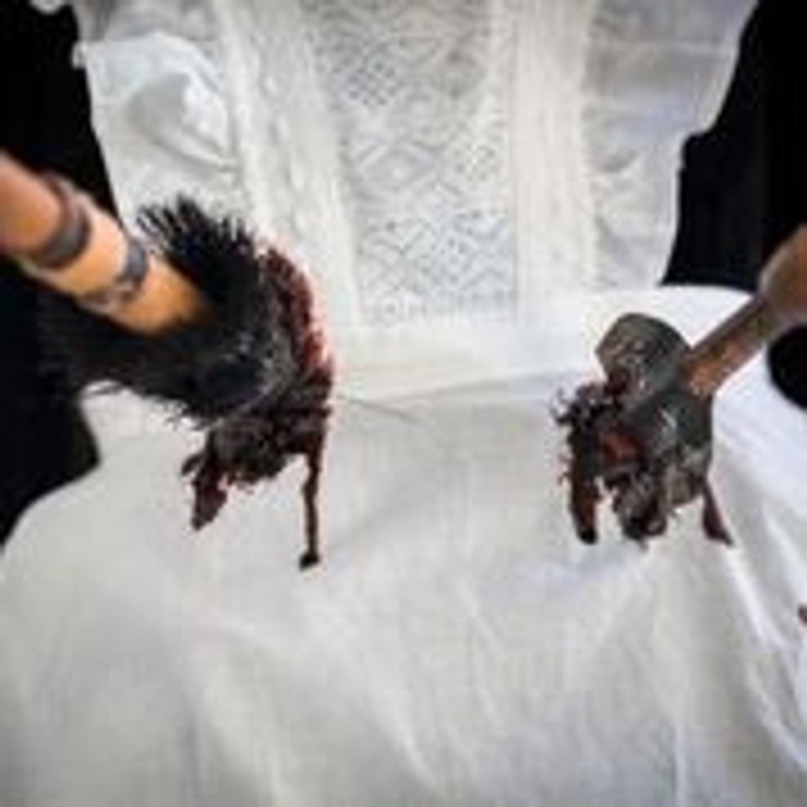 1890 - Vražda slúžky Eržiky