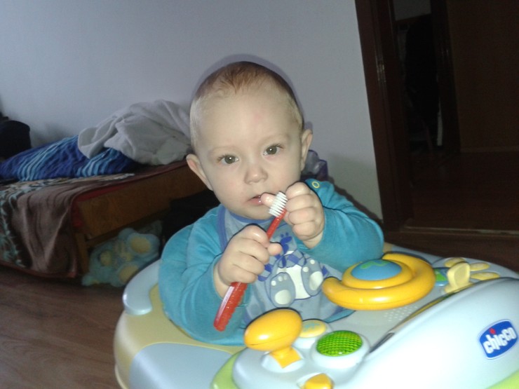 mirko