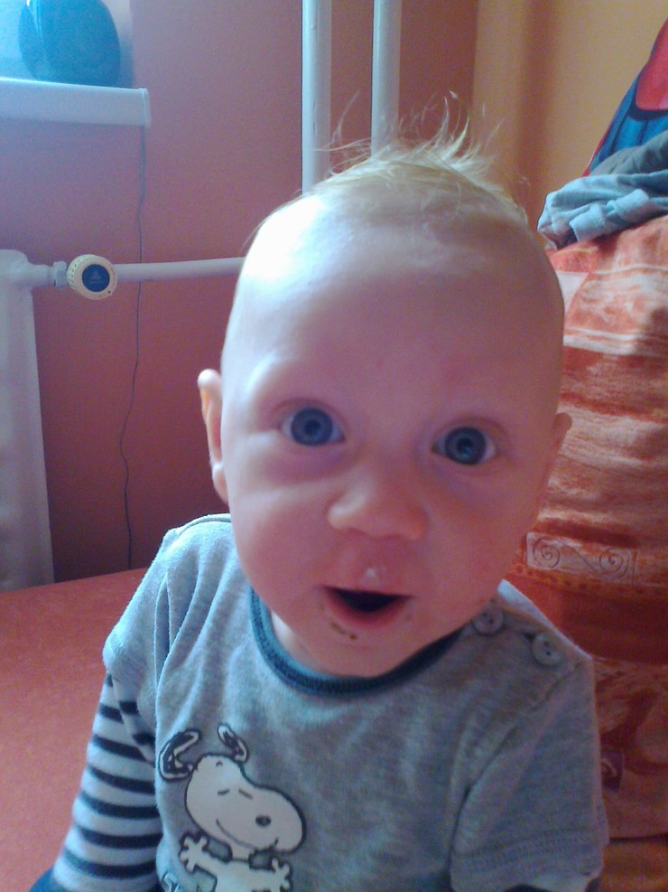 Dominik