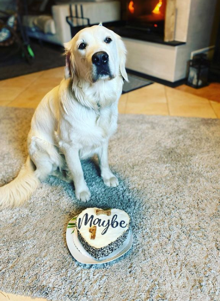 Maybe - sučka Jiřího Langmajera