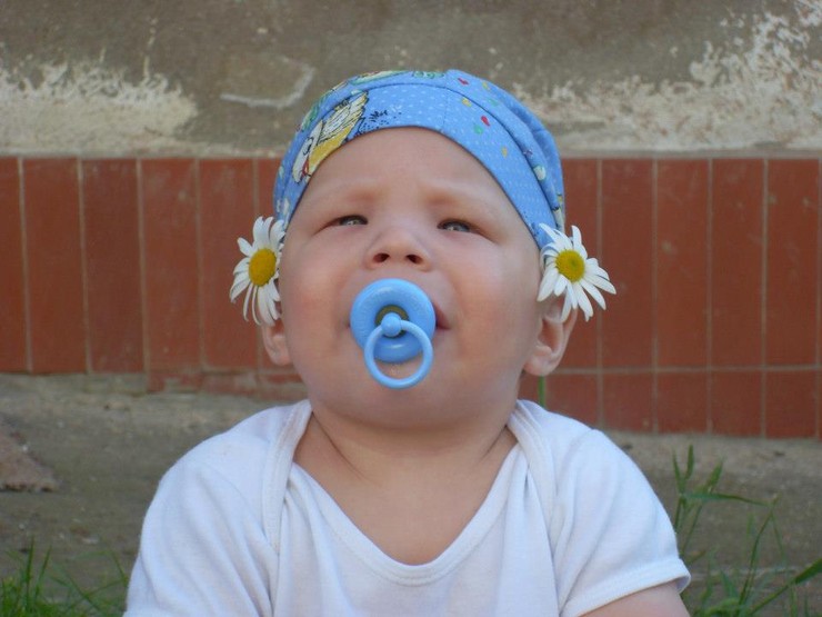 Saša 