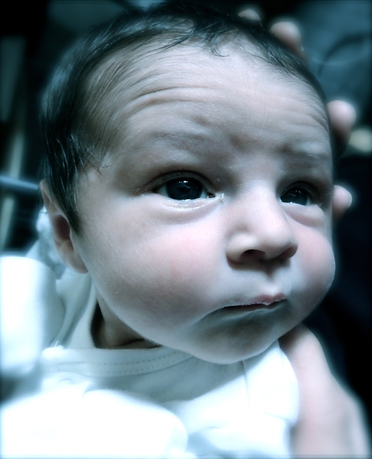Melany