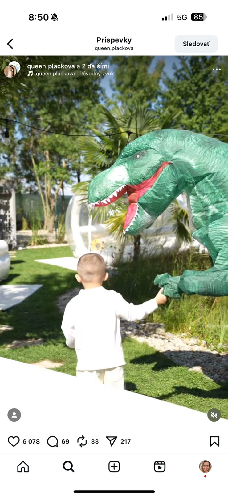 Plačková, syn Dion, narodeninová oslava, luxus, dinosaurus