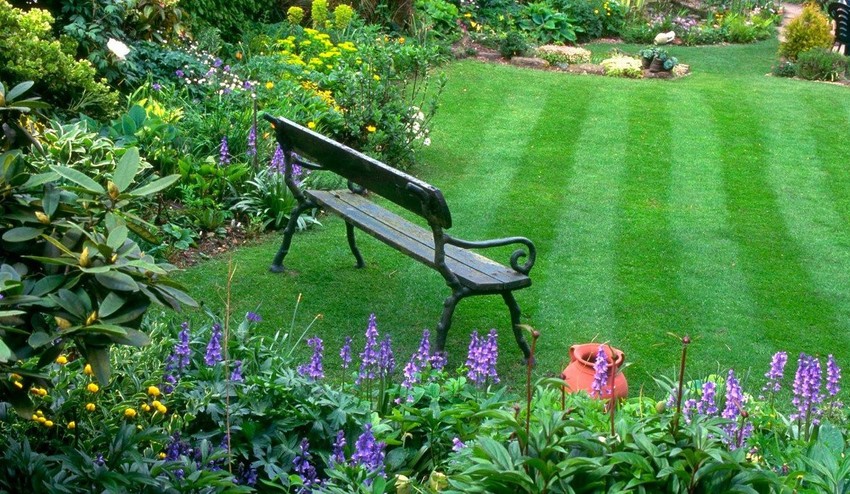 Chcete mať krásny zelený trávnik, ktorý vám budú závidieť? Dajte si poradiť!