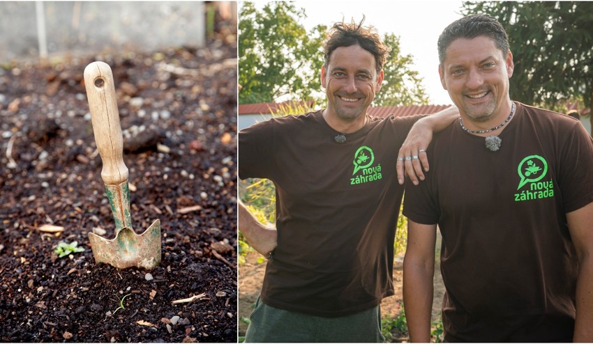 Používate pri sadení bežnú zeminu či univerzálny substrát? Pozor, tieto druhy to môže zničiť!