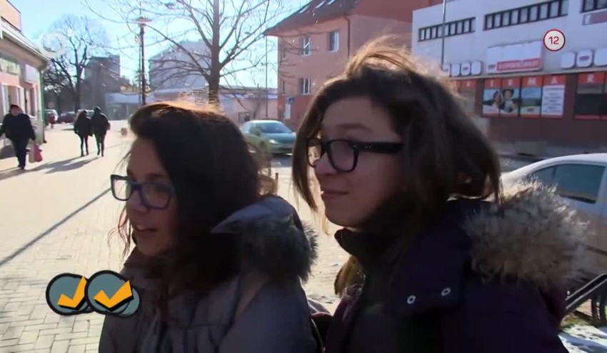 Holá veta sa skladá z podmetu a z čoho ešte? (Nikto nie je dokonalý)